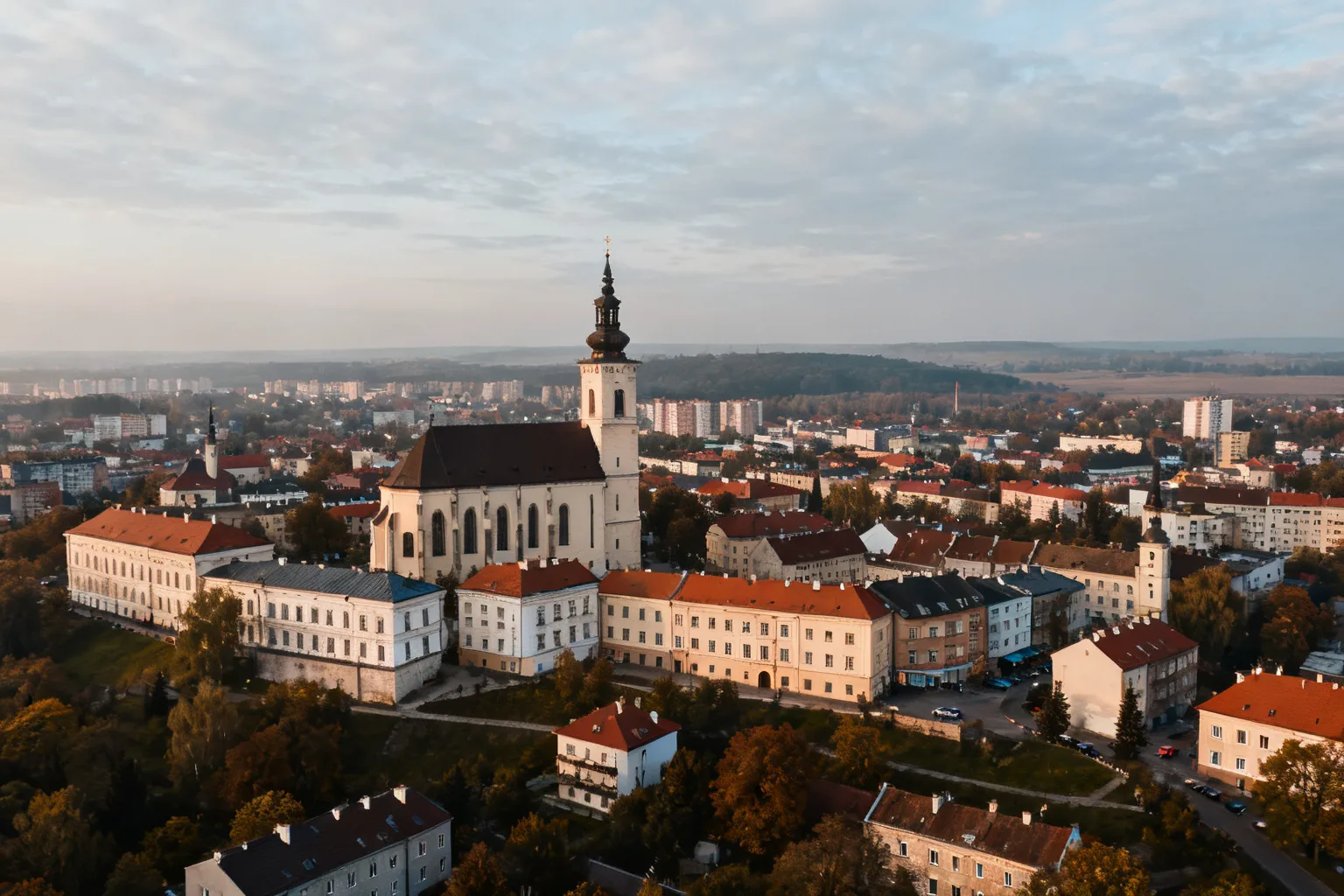Ilustracja poglądowa do artykułu „Ludwik Brandys"