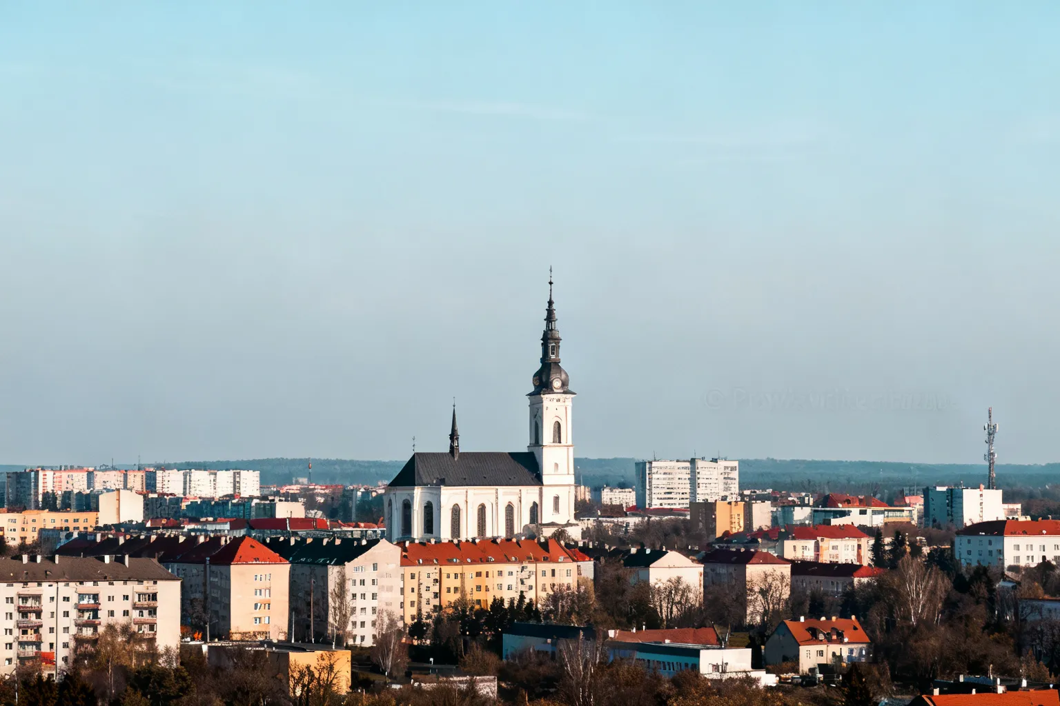 Ilustracja poglądowa do artykułu „Arnold Borowik"