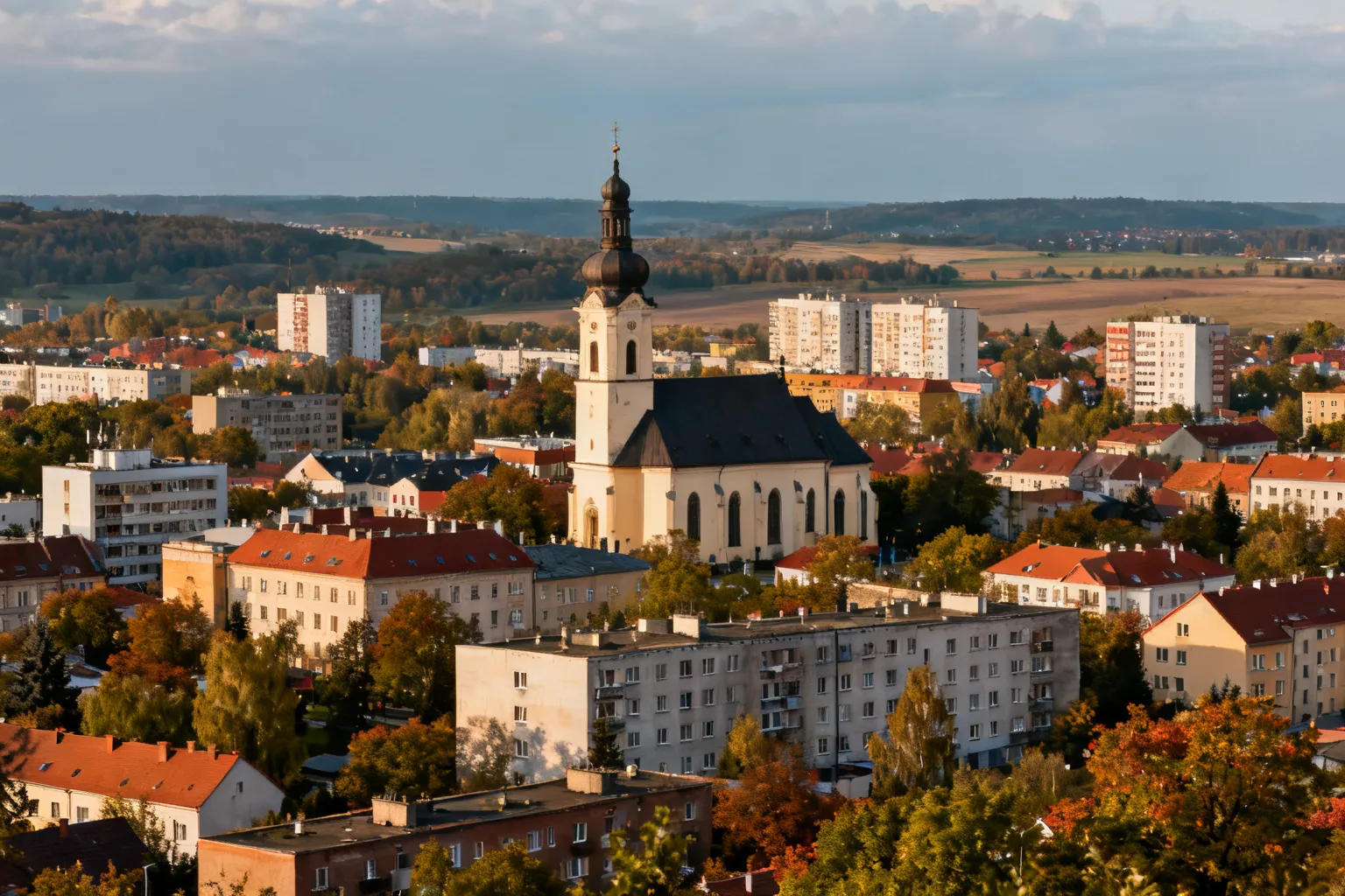 Ilustracja poglądowa do artykułu „Paweł Buzek"